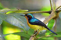 [Image: bc4ad8fb47a05-f773.jpg]