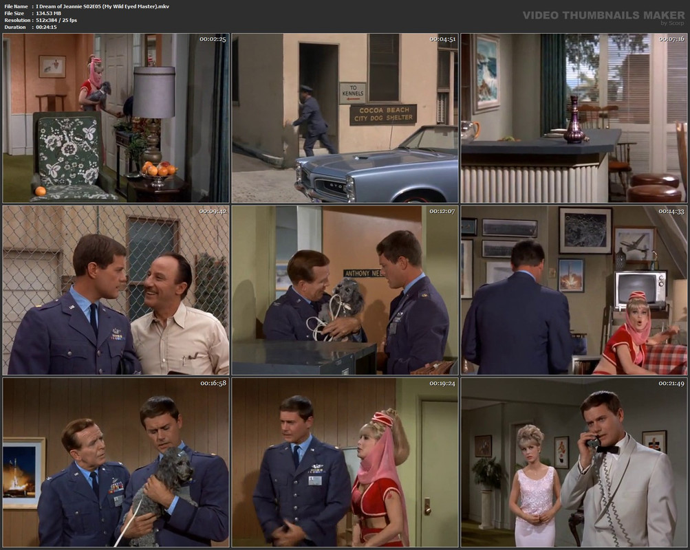 I Dream of Jeannie S02E05 (My Wild Eyed Master).mkv