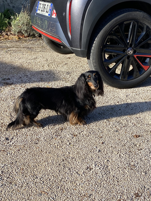 [Image: IMG-4312.jpg]