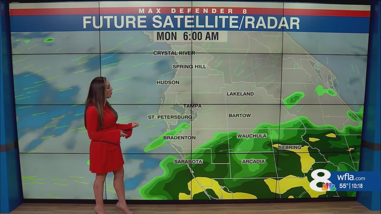 NewsChannel 8 News at 1000pm_20250222_03000330.ts_snapshot_18.44.253