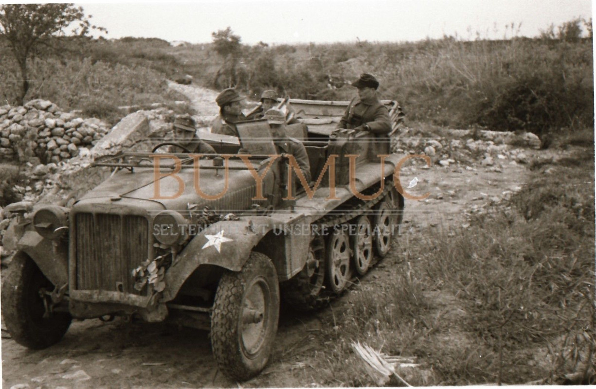 Militärfahrzeug Stern Italien Panzer-Abteilung 115 Süden