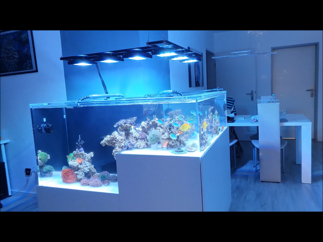 5A4F6BE4-3A51-46D1-9006-31E78681D8C1