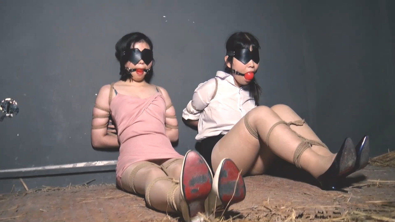 胜景影视 连续剧落难姐妹 四.mp4_20210226_185332.806