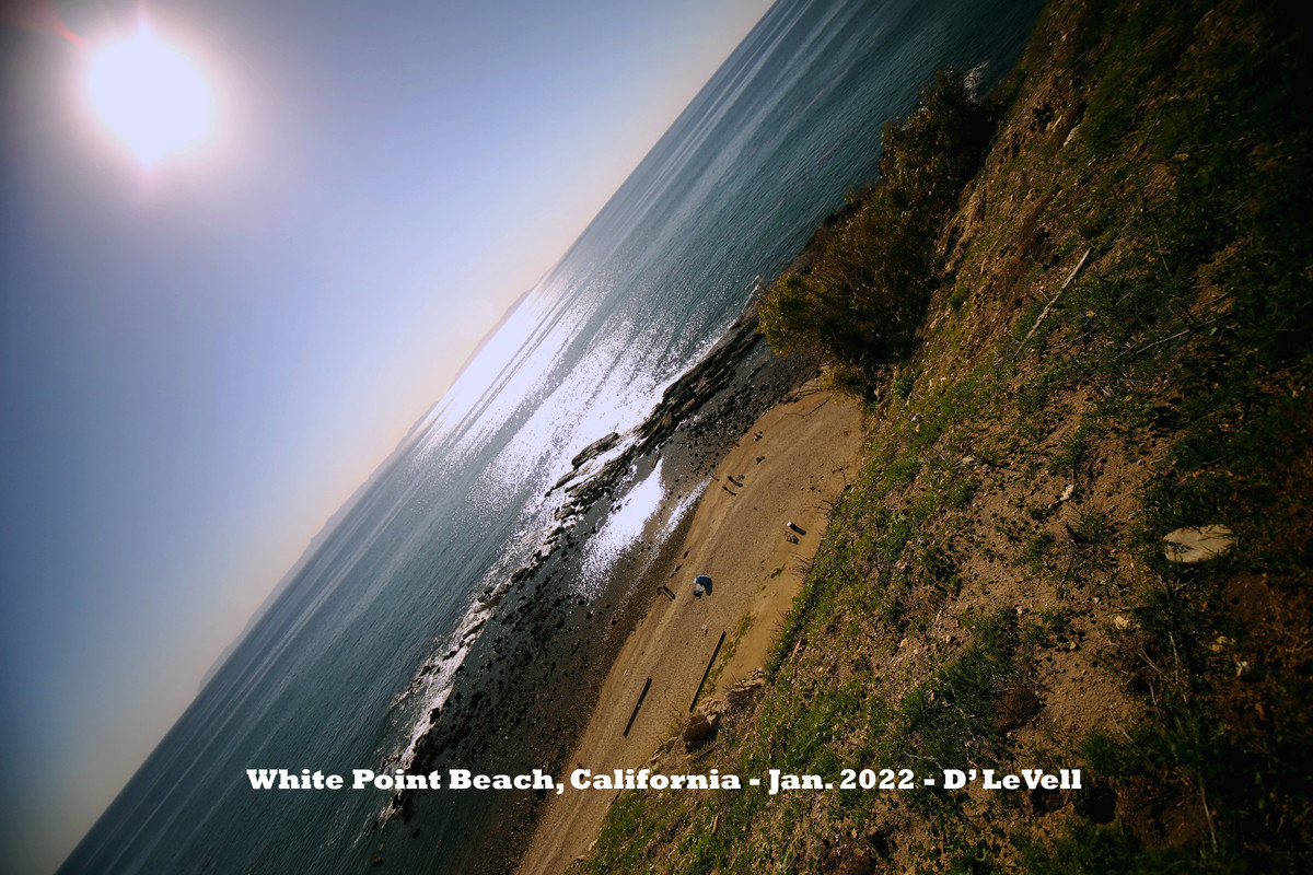 RPV 04 copy