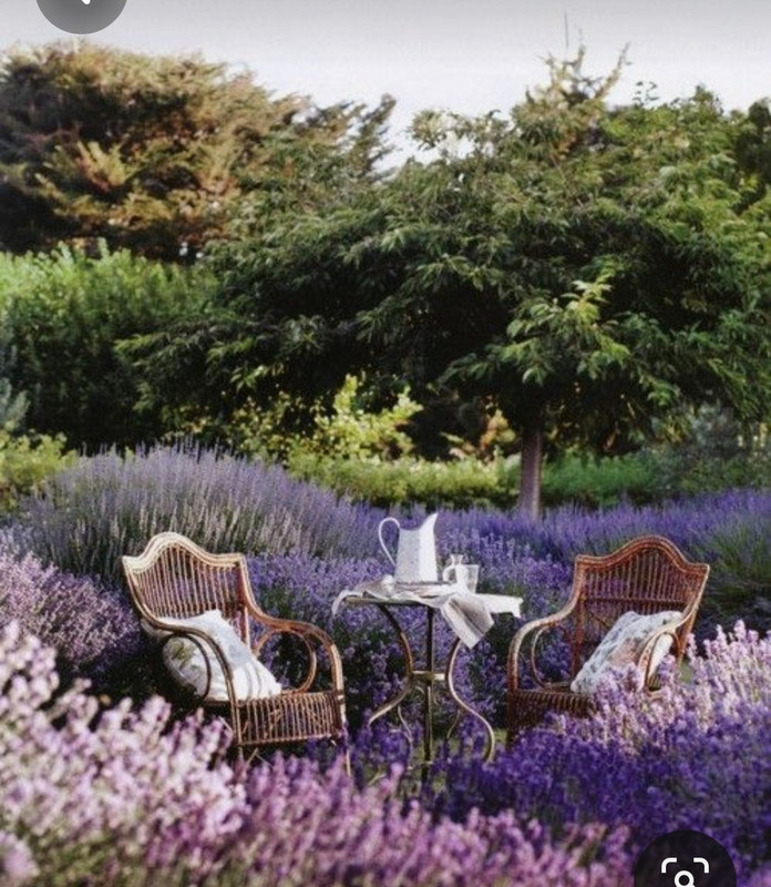 Screenshot_20230616_182328_Pinterest