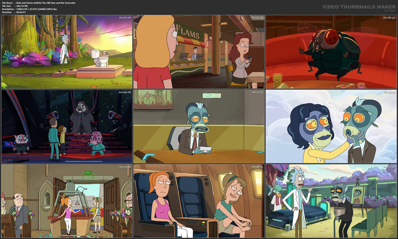 Rick and Morty S04E02 The Old Man and the Seat.mkv