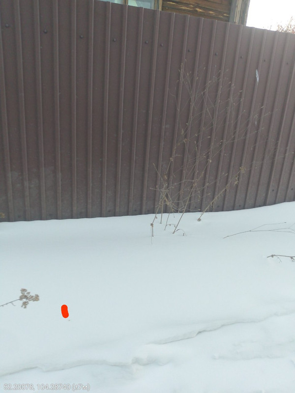 IMG 20260206 090704 439