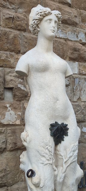 Florencia, 2 años después. - Pizcas de arte en Venecia, Mantua, Verona, Padua y Florencia (46)