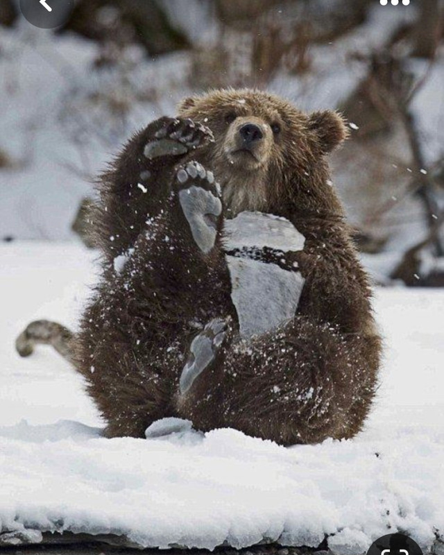 Screenshot_20230429_013543_Pinterest