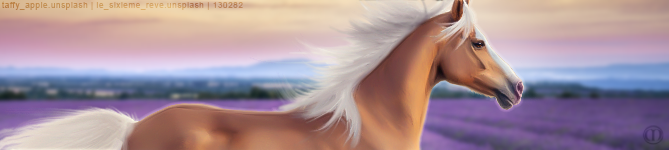 Palomino-Premade-Banner.png