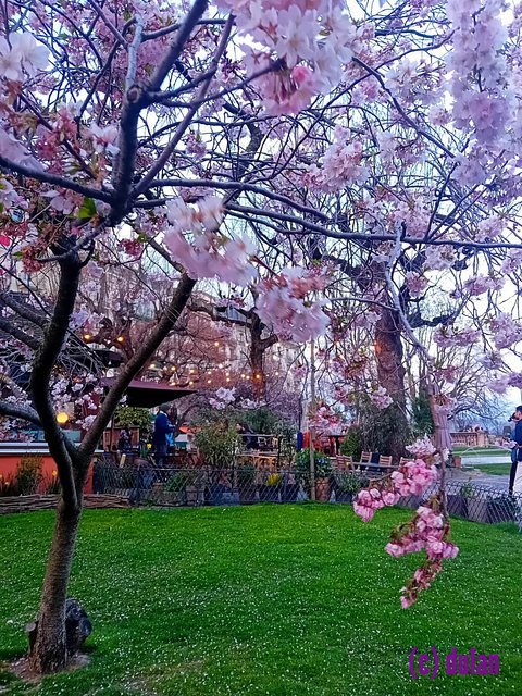 [Image: IMG_20250328_132527.jpg]