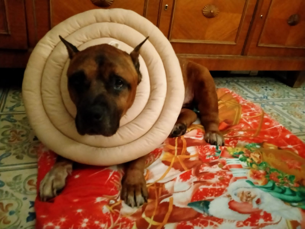 WhatsApp Image 2023-08-15 at 22.13.45 (1)