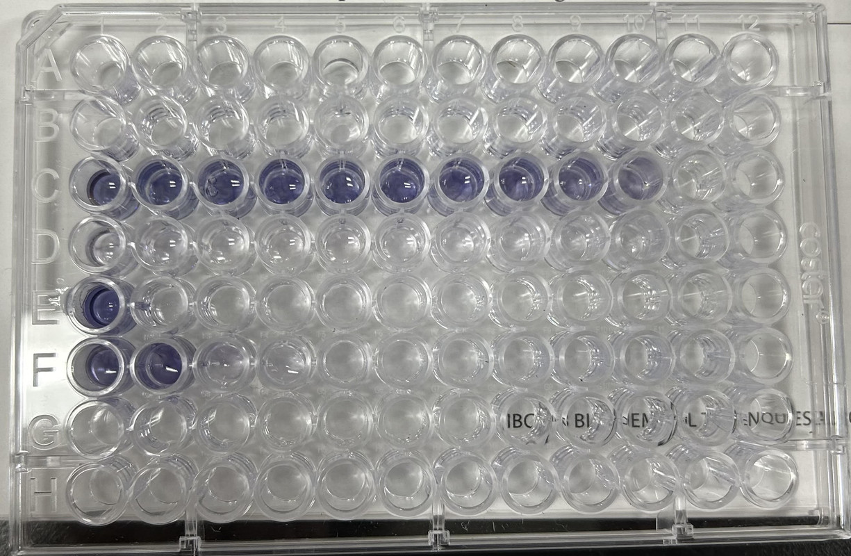 Spot Test (Biochem Exp)