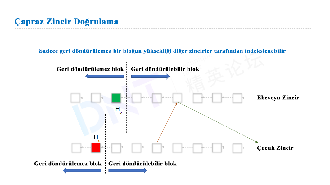 AELF ($ELF) Blockchain (RESMİ ANA KONU)