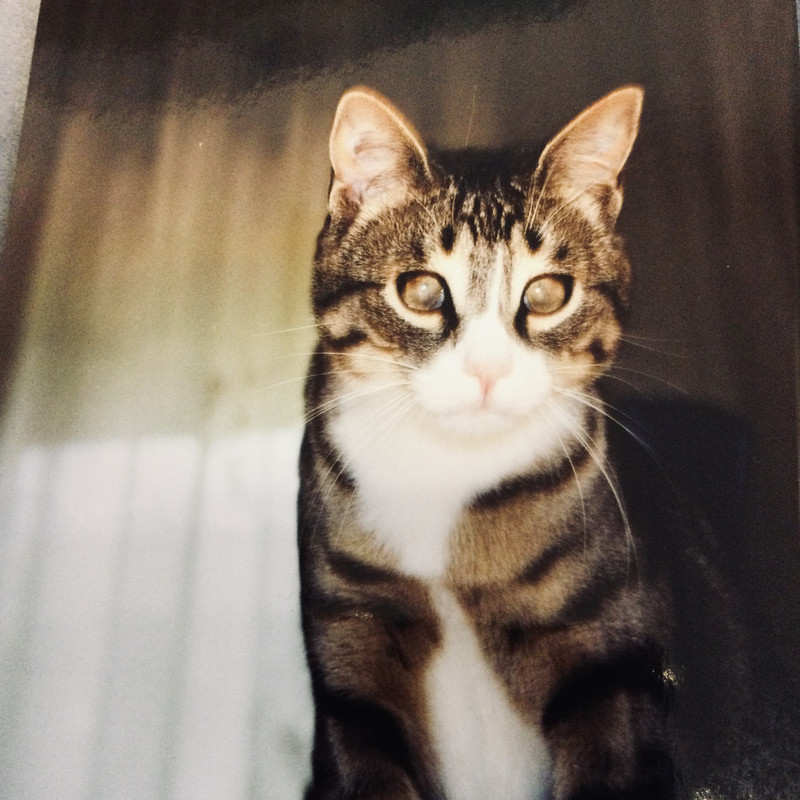 D4EE6F93-6BB4-42D2-B18E-FE2589953706