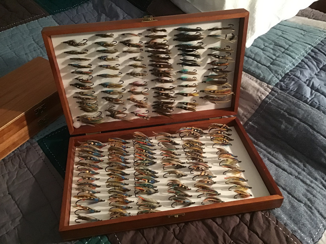 3BC99591-E661-4111-ACE7-06E6C6CE3340