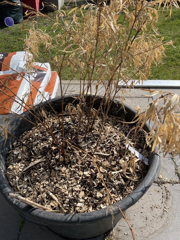 553ACBF1-C555-46E6-B963-3E473849B6CC