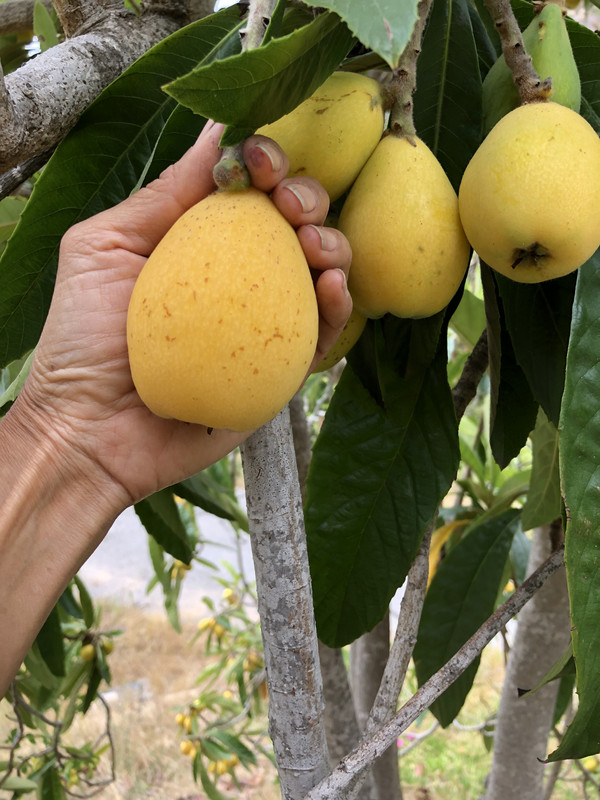 87CE5B79-578A-47CA-8406-6570D52087EC