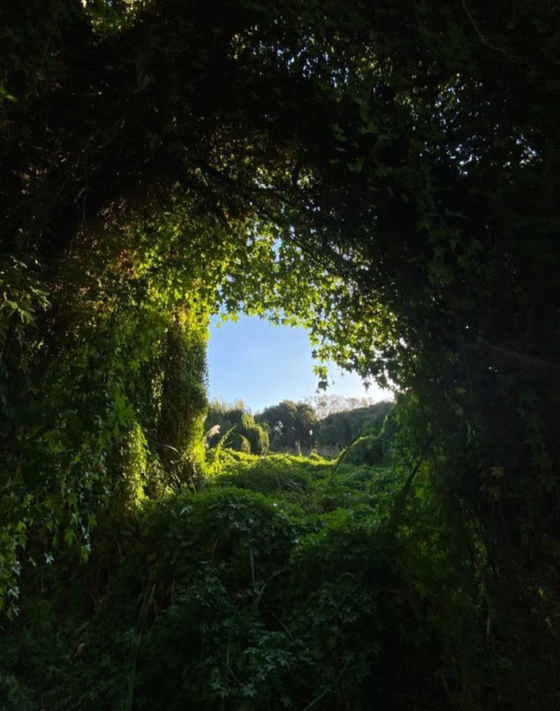 Screenshot_20240429_212422_Threads