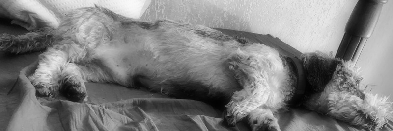 [Image: IMG-0921-1.jpg]