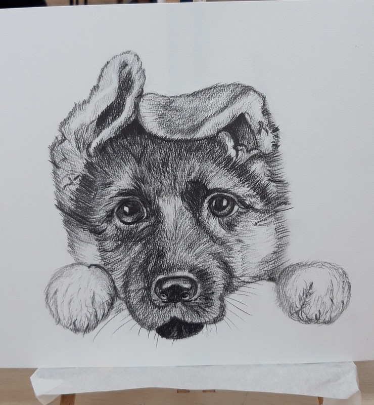 ирин пёсель