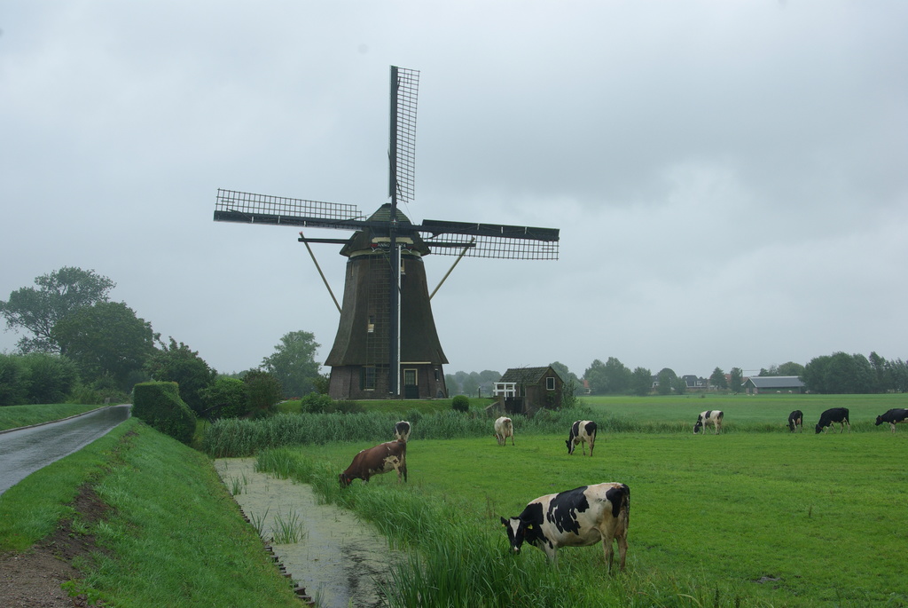 (00287) Hoekermolen - Vreeland 6