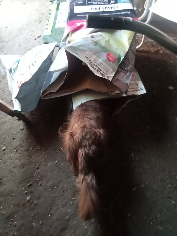 [Image: IMG-20250611-093315.jpg]