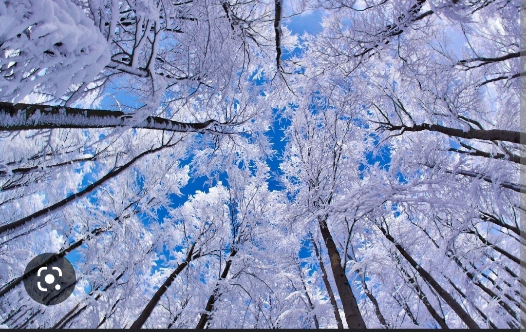 Screenshot_20221126-151308_Chrome