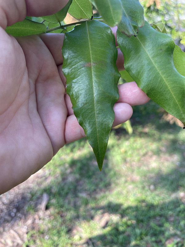 0E743830-78CF-432A-80A2-E2863F1A8D4D