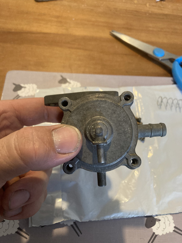 5BA6A586-79DC-4D19-970D-B6BA7019EED4