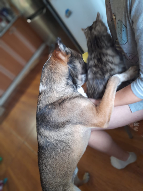 7168F84C-C5F3-4BBC-9A14-5F39BCFA8E9C