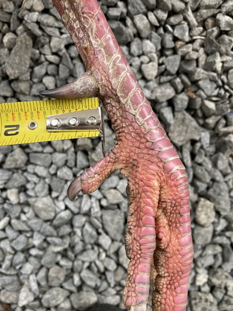 49B627F2-4DF5-45C3-9CEB-EDA16996B416