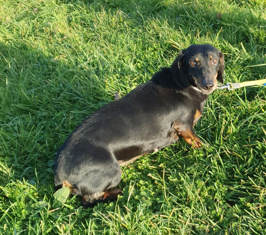 [Image: 20211118-202741.jpg]