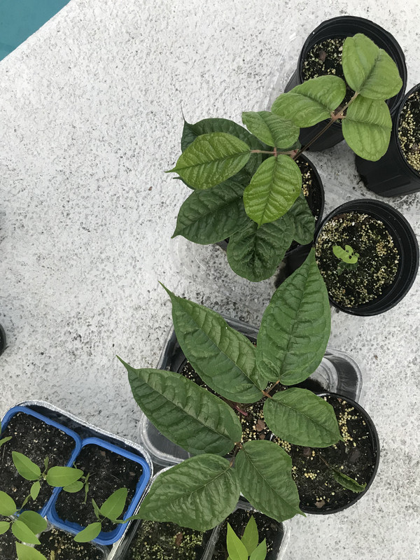 334BD800-3154-45A5-8A24-6F3F8107122C