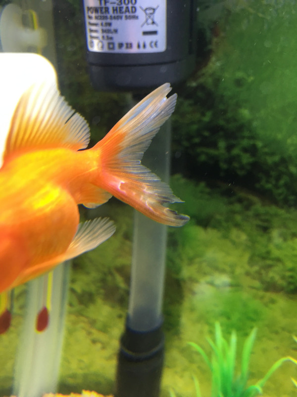 AC5A1EBE-FE22-4B47-A1C3-AD20FA36F5F9