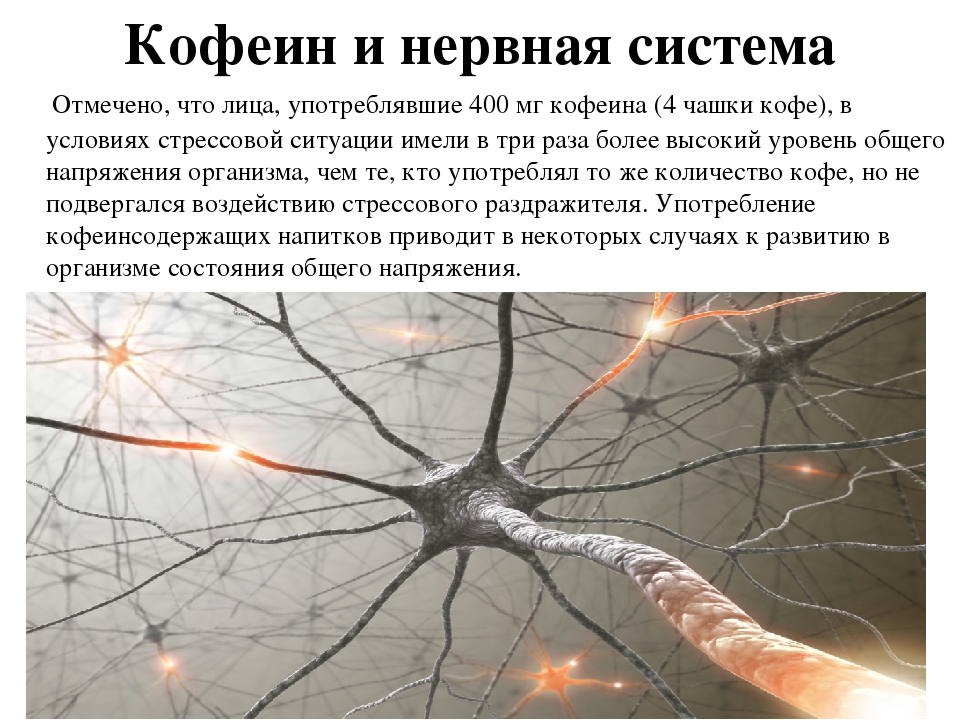 Воздействие кофеина. Влияние Энергетиков на нервную систему. Кофеин и нервная система. Влияние кофе на нервную систему человека. Влияние кофеина.