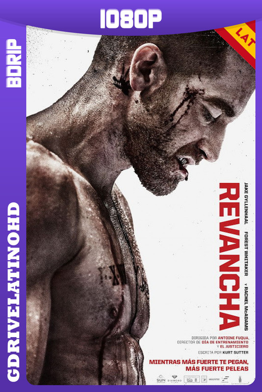 Revancha (2015) BDRip 1080p Latino-Inglés