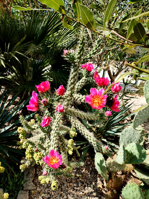 IMG_20250627_160652_edit_735931954261190(1)