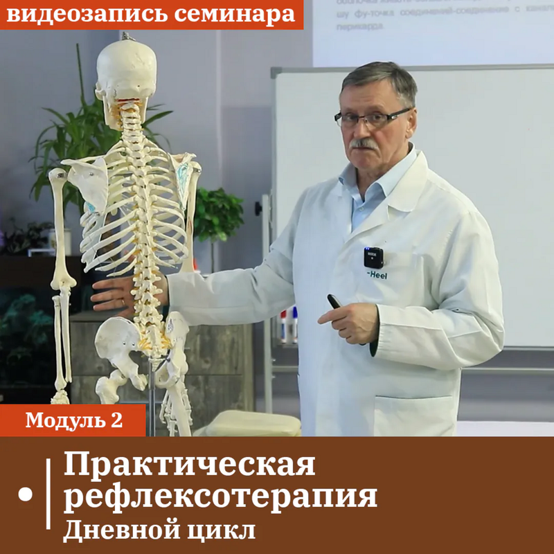 [Сандал] Практическая рефлексотерапия. Модуль 2. Дневной цикл (Владимир Кононов)
