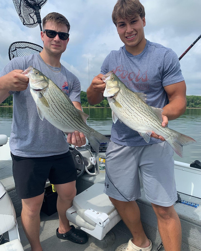 66B9D5D3-B3E3-4C93-B33F-A5FD39368496