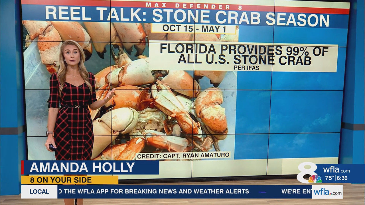 NewsChannel 8 Today at 6a_20251010_11001200.ts_snapshot_00.37.40.617