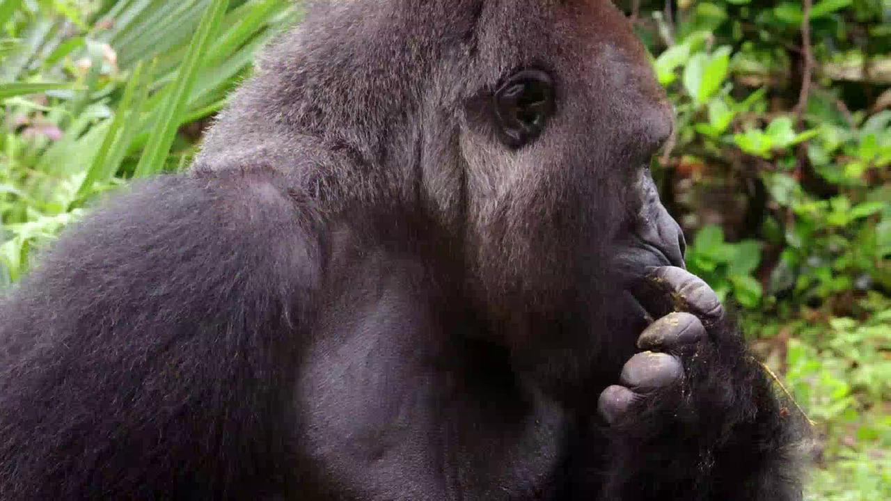 vlcsnap-2022-10-06-21h44m50s057