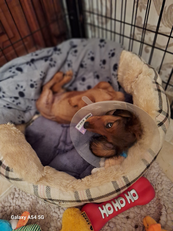 [Image: 20240916-211242.jpg]