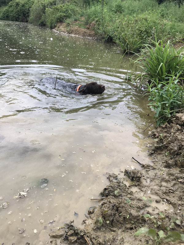 3DCAE1BD-007D-43D4-88E2-9875CF6F372A