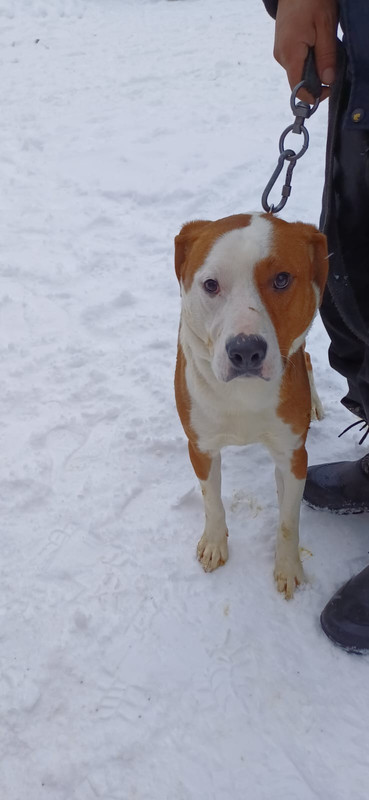 WhatsApp Image 2024-01-11 at 15.36.07 (1)