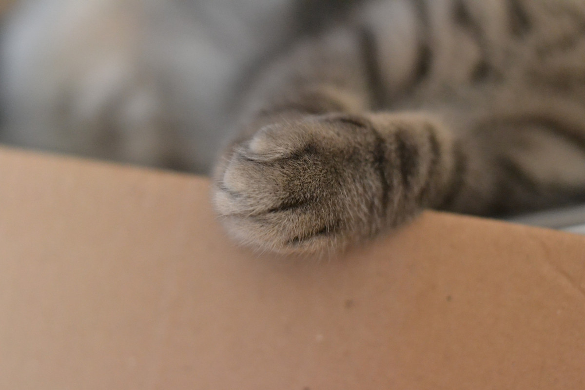 374158278_6618190771557476_5528820683956969503_n