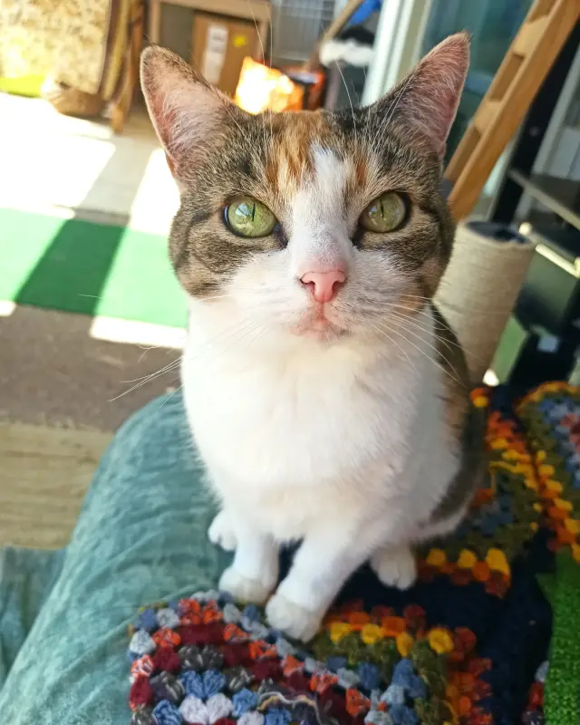 IMG_20240516_075103_666