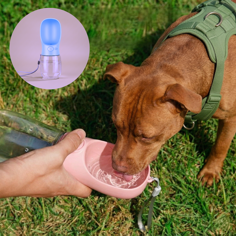 Bebedero port&aacute;til en uso