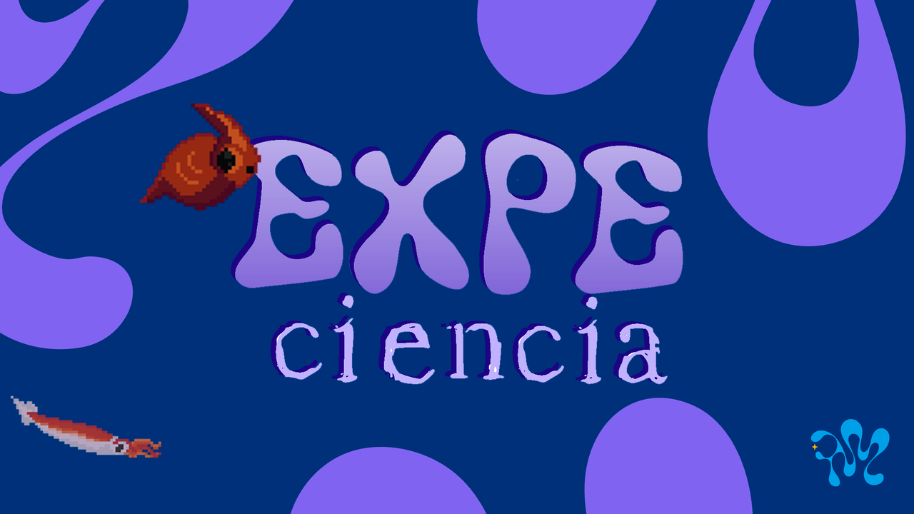 Expeciencia: Explorá el fondo del mar argentino desde tu celular