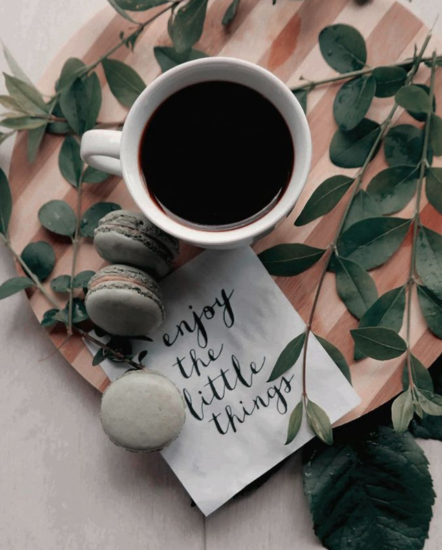 Screenshot_20230124_002806_Chrome